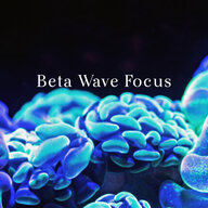 Beta Waves - Focus