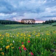 Cricket Fields SFX cover