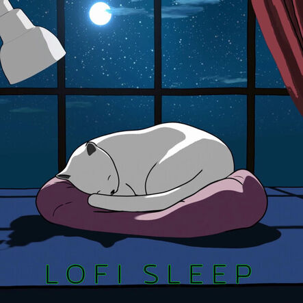 LoFi Sleep XII track cover