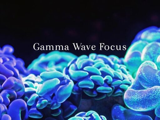 Isochronic Gamma Waves - Focus