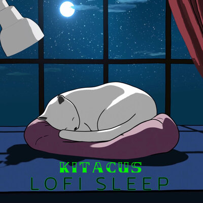 lofi music for sleep album cover