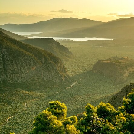 Roman Body Regeneration track cover