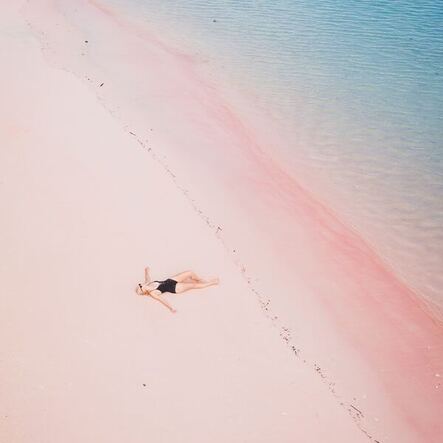 Joyful Way On The Field Of Endless Possibilities track cover