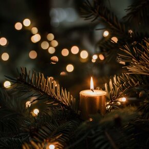 Silent Night Serenity